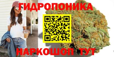 apvp Туймазы