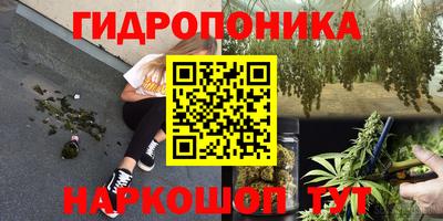 apvp Туймазы