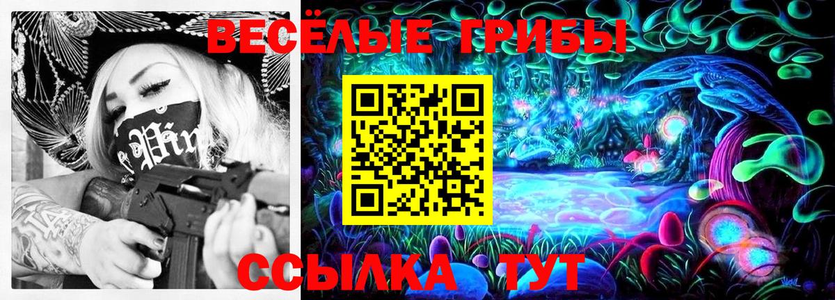 Богородицк  Псилоцибиновые грибы мухоморы  Галлюциногенные грибы MAGIC MUSHROOMS  Вход с VPN 
