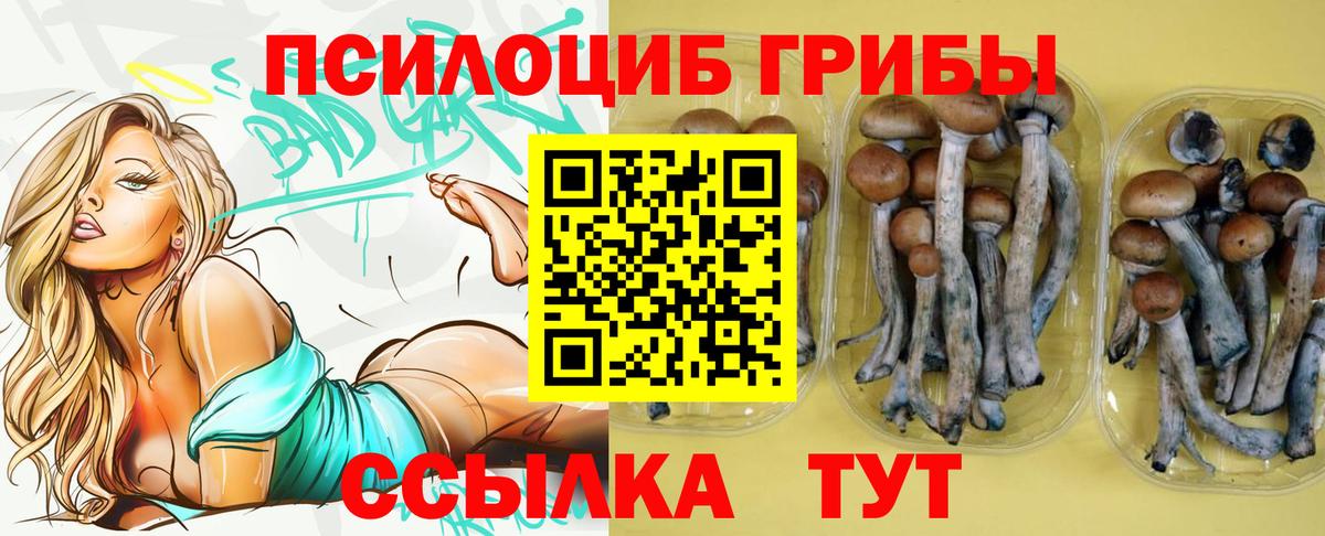 Псилоцибиновые грибы Psilocybine cubensis Богородицк
